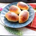 山科ちえ子料理研究所's cooksnap of when they made キッチエイド・低温発酵のバターロール.