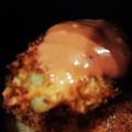 まままるきち's cooksnap of when they made コロッケ☆コロッケのためのオーロラソース.