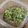 まよchiki's cooksnap of when they made 農家の長ネギオンリーで、ご飯のお供♪.