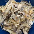 a-damame's cooksnap of when they made 豚ごぼう甘辛煮.