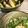 kpnnnnu's cooksnap of when they made 誰でもできる無限ピーマン.