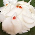 しずのんママ's cooksnap of when they made 【簡単10分】ポリポリ♪かぶの浅漬け.