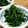 さくらスキップ's cooksnap of when they made 簡単だけど味深い♪ほうれん草のごま和え.