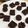 aiai☆☆'s cooksnap of when they made Vegan*基本のローチョコレート*.