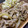 ✩ままま✩'s cooksnap of when they made 豚こま肉で簡単！しょうが焼き！！.