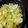 クック83VTEZ☆'s cooksnap of when they made きゃべつとたまごの中華炒め.