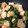 クックQULPYE☆'s cooksnap of when they made 小松菜と厚揚げの煮浸し.