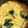 まぁくんのハニー🍯's cooksnap of when they made ほうれん草のかきたまスープ.