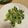 ピーナッツ子♪'s cooksnap of when they made 生青のりのスパゲティー.
