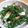 mangoari's cooksnap of when they made おかひじきと蒲鉾の梅おかかあえ.