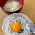 ぱまと's cooksnap of when they made 釜揚げしらす丼.