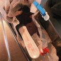 くるちゃむ's cooksnap of when they made 糖質制限◆本格濃厚ガトーショコラ.