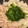 YUJIMOM's cooksnap of when they made 大根、豚肉、ほうれん草の簡単めんつゆ煮.