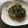 そのうち老々's cooksnap of when they made 超楽チン☆大根ステーキ.
