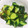クック083103☆'s cooksnap of when they made きゅうりの漬け物　白だし塩昆布.
