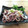 mayuyuキッチン's cooksnap of when they made ☼定番おつまみ♪イカのバター醤油炒め.