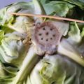 azbjbn's cooksnap of when they made レタス、キャベツの長期保存、長持ち.