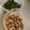 canjuice33's cooksnap of when they made フライパンで和えるだけ簡単きな粉豆.