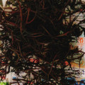 クックG5T5UZ☆'s cooksnap of when they made 寒ふのりの処理方法と使い方.