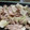 3姫の母's cooksnap of when they made 白菜の古漬けと豚肉の炒め物.