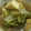 プリズンブレイク's cooksnap of when they made 白菜と厚揚げとツナの煮物.