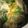クックZ8J4H4☆'s cooksnap of when they made 簡単☆レタスと卵のスープ.
