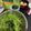 クック9P6O5D☆'s cooksnap of when they made 男が1人で食べるボウル豆苗サラダ.