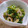 ちょこ☆ちょこ's cooksnap of when they made 青梗菜とちくわのポン酢ごま和え！.