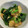 te_sanae's cooksnap of when they made 小松菜と油揚げの炒め物.