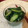 ayk4w41's cooksnap of when they made きゅうりの浅漬け.