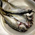 ばたみそーぱん☆'s cooksnap of when they made 指だけで簡単☆豆アジの下処理の仕方.