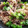 クックDM45FA☆'s cooksnap of when they made 牛ごぼう炊き込みごはん.