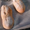 ぞううさん's cooksnap of when they made ソフトフランスパン.