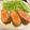 たまゴン♪'s cooksnap of when they made 生サーモンのレアカツレツ.