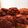 こいぬとこじか's cooksnap of when they made チョコマフィン　混ぜて焼くだけ!.