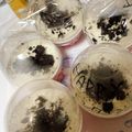 ちこはん's cooksnap of when they made シンプルで簡単！レアチーズケーキ.