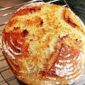 mihanemama's cooksnap of when they made ライ麦と胡桃のカンパーニュ.