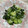 みにおんたぬき's cooksnap of when they made 中華風？ワカメと胡瓜の酢の物.