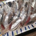 おたまっち's cooksnap of when they made 鰯の酢漬け.