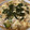 ☆苹凛☆'s cooksnap of when they made 簡単！とろとろ納豆丼.
