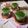 すんずく娘's cooksnap of when they made 超簡単！抹茶ムース.