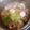 クック7FS9WX☆'s cooksnap of when they made なべっこ（芋の子汁）.