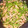 なゆひーママ's cooksnap of when they made 簡単！本格青椒肉絲.