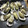 ビキナーもんちゃん's cooksnap of when they made ＊絶品！殻付き牡蠣の酒蒸しレモンがけ＊.