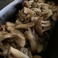ゆぅゆv's cooksnap of when they made 簡単☆レンジで♪きのこのナムル.