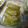 まゆチップ☆'s cooksnap of when they made 田舎風✿ふきのゴマ油炒め✿.