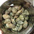 Laufen's cooksnap of when they made アサリの砂抜き&冷凍保存(*^^*).