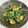 ku1706's cooksnap of when they made 水菜と卵の炒め物.