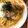 うさじいママ's cooksnap of when they made ☆和風おろしツナパスタ☆簡単ランチ！.
