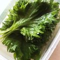 kae2423999's cooksnap of when they made 大葉の簡単保存.